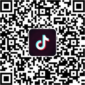 抖音小程序